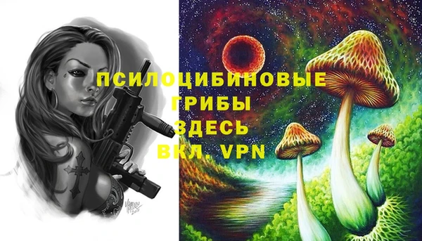 mdpv Вяземский