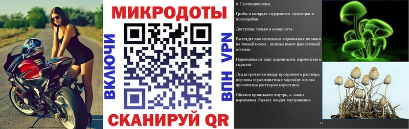 мега как зайти  Заозёрск  Псилоцибиновые грибы мухоморы 