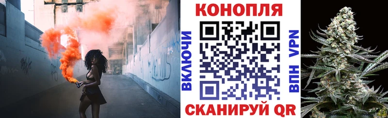 Канабис сатива  купить наркотик  ОМГ ОМГ вход  Заозёрск 